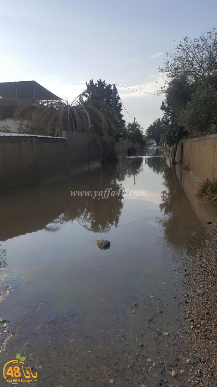 dhamasha ja3 (2).jpg